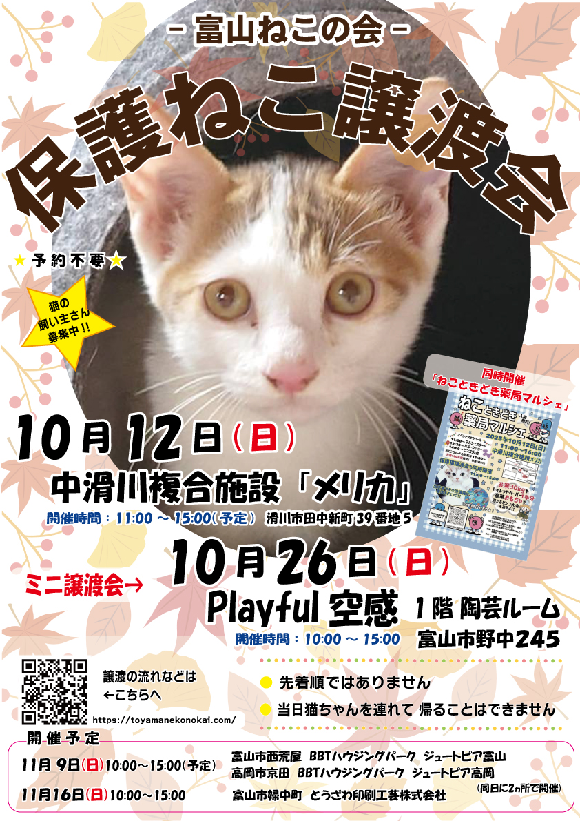 ねこときどき薬局マルシェ　保護猫譲渡会　2025年10月12日(日)　中滑川複合施設メリカ