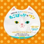 ねこばっか＋ワン vol.10 　2025年11月1日(土)2日(日)3日(月)