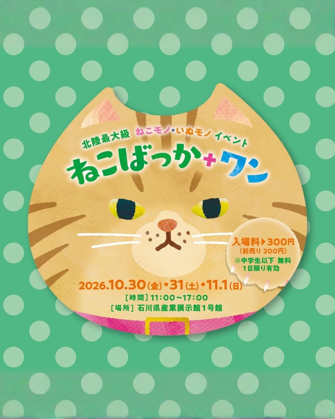 ねこばっか＋ワン2026