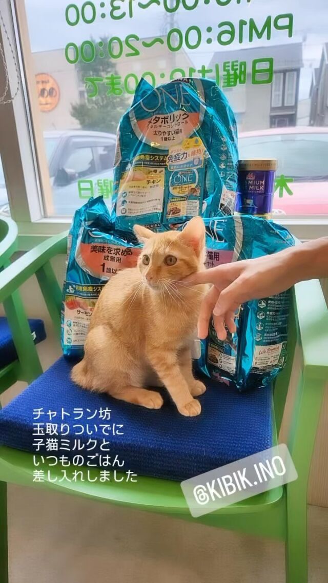 びーにゃんくらぶ ＆ Neko de M Kanazawa 猫ドMさん専用ライト