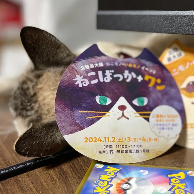 びーにゃんくらぶ ＆ Neko de M Kanazawa 猫ドMさん専用ライト